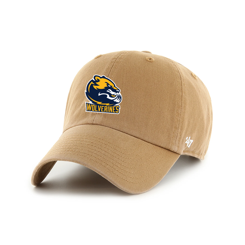 47 CLEAN UP CAP - WOLVERINES