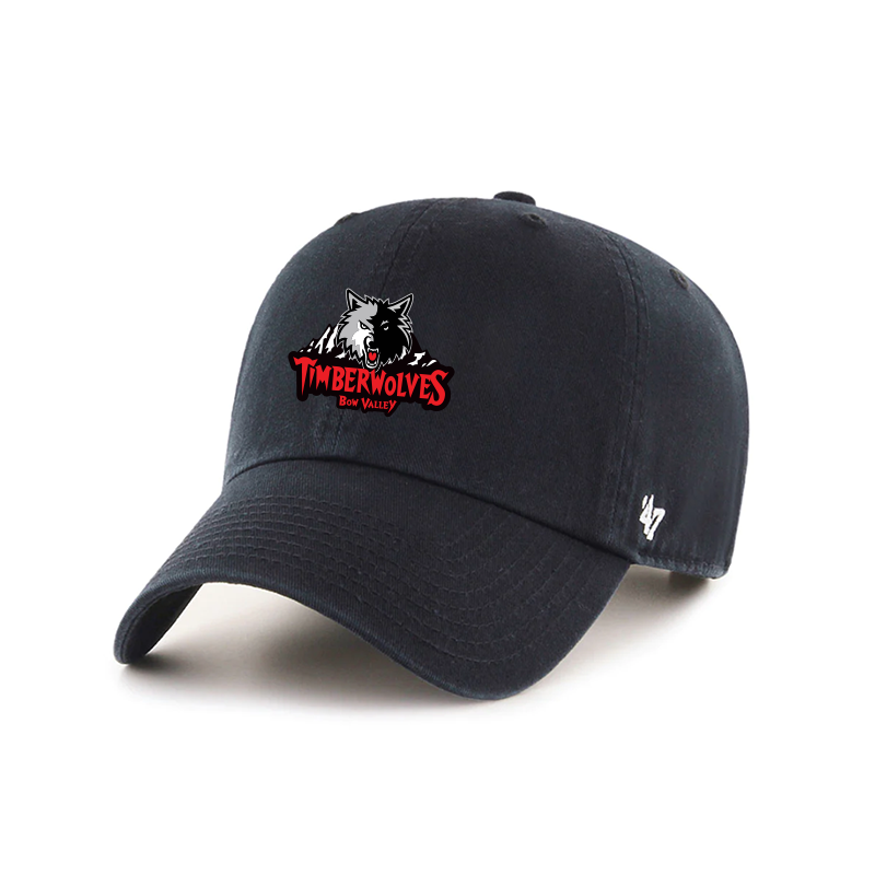 47 CLEAN UP CAP - TIMBERWOLVES