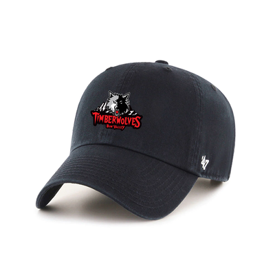47 CLEAN UP CAP - TIMBERWOLVES