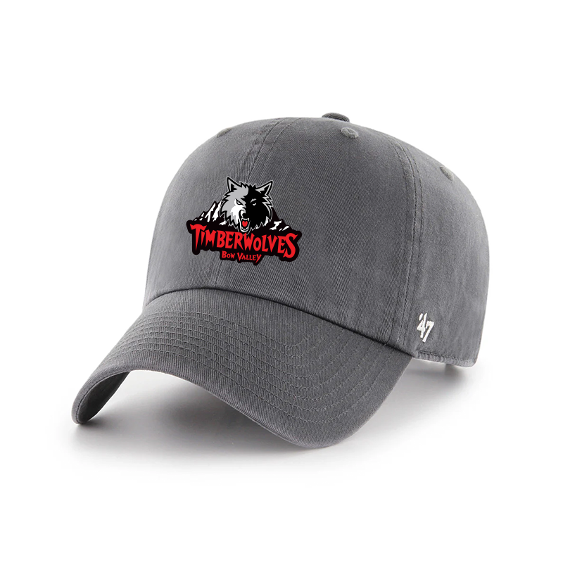 47 CLEAN UP CAP - TIMBERWOLVES