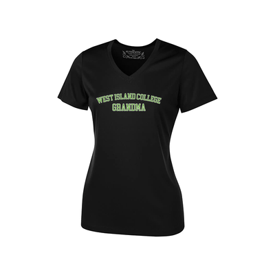 PRO TEAM LADIES V-NECK TEE - WIC PARENT