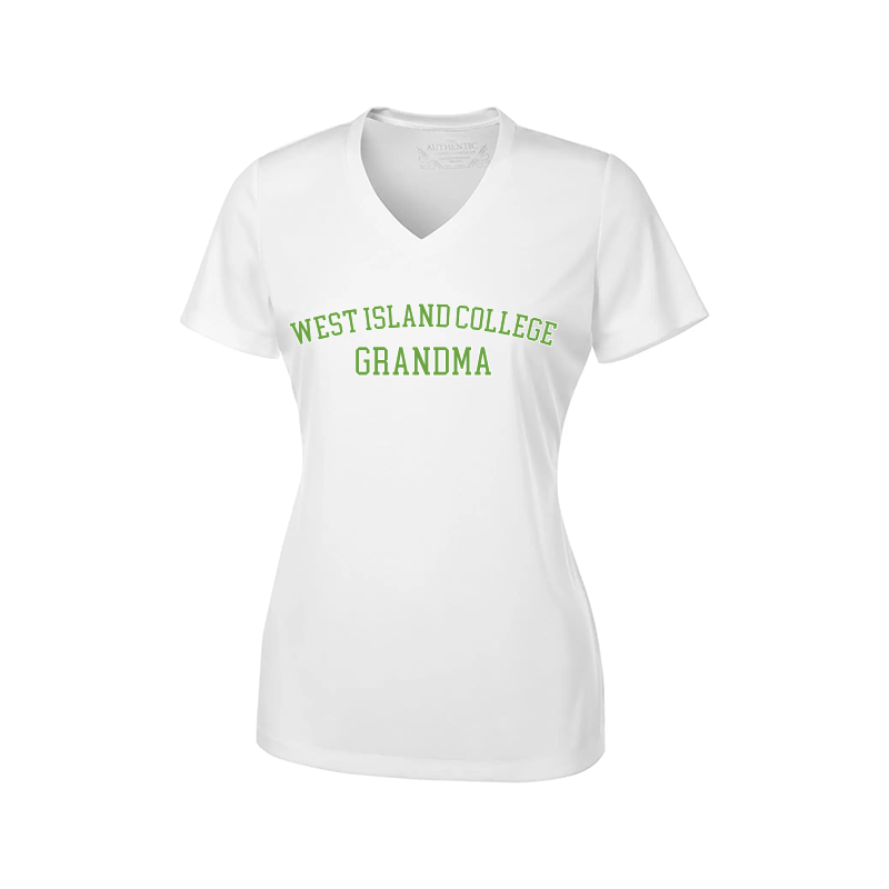 PRO TEAM LADIES V-NECK TEE - WIC PARENT