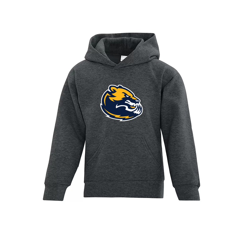 EVERYDAY YOUTH HOODIE - WOLVERINES