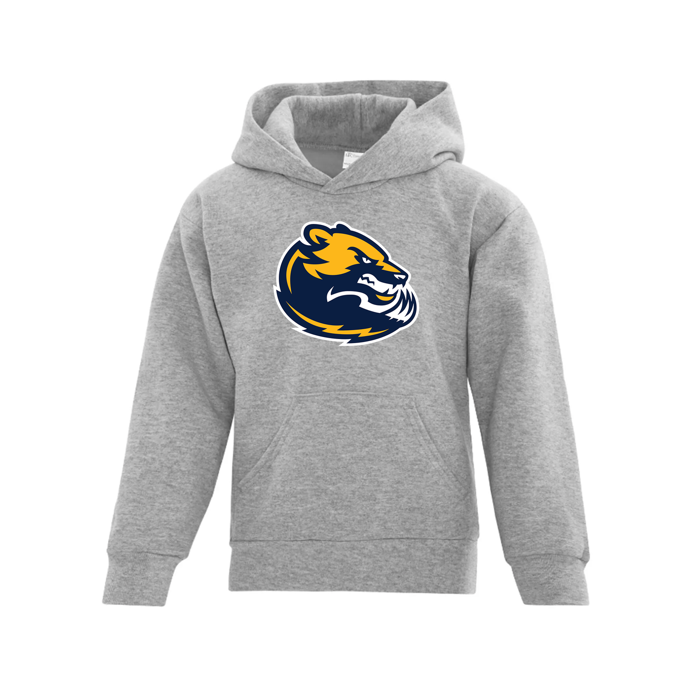 EVERYDAY YOUTH HOODIE - WOLVERINES