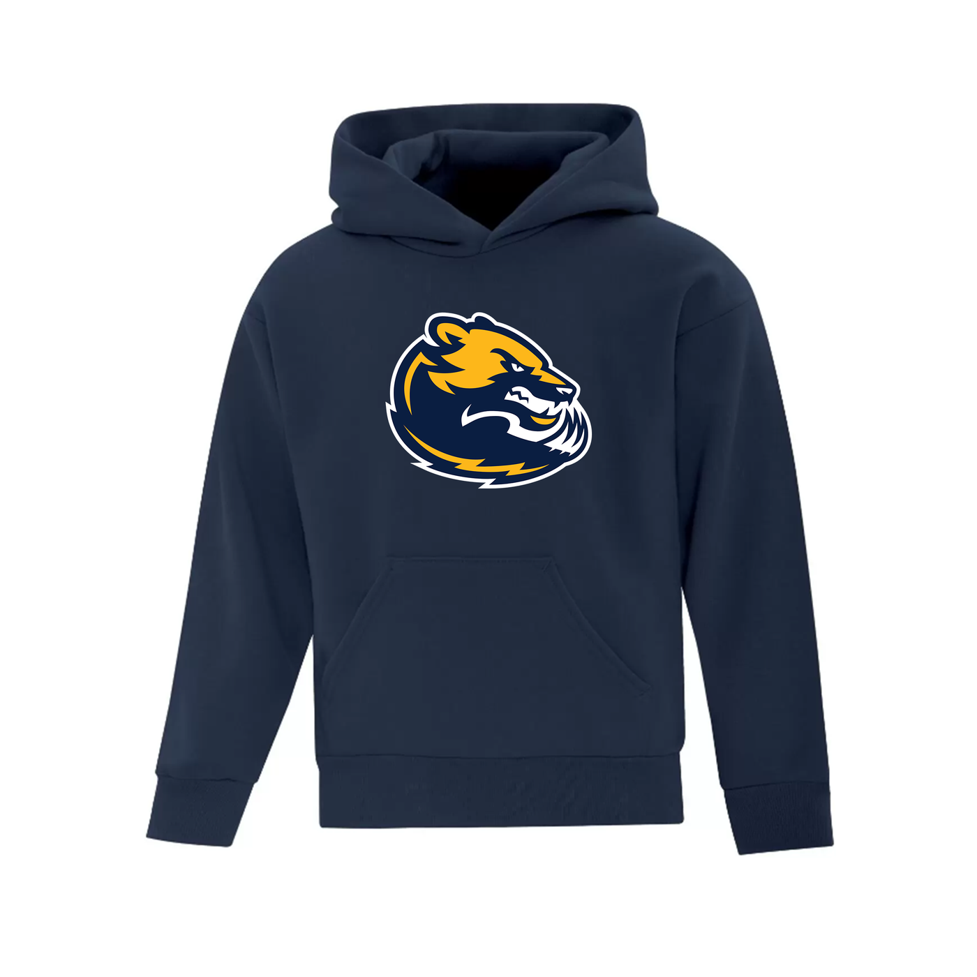 EVERYDAY YOUTH HOODIE - WOLVERINES