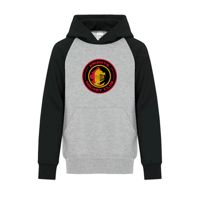 EVERYDAY TWO TONE YOUTH HOODIE - KNIGHTS