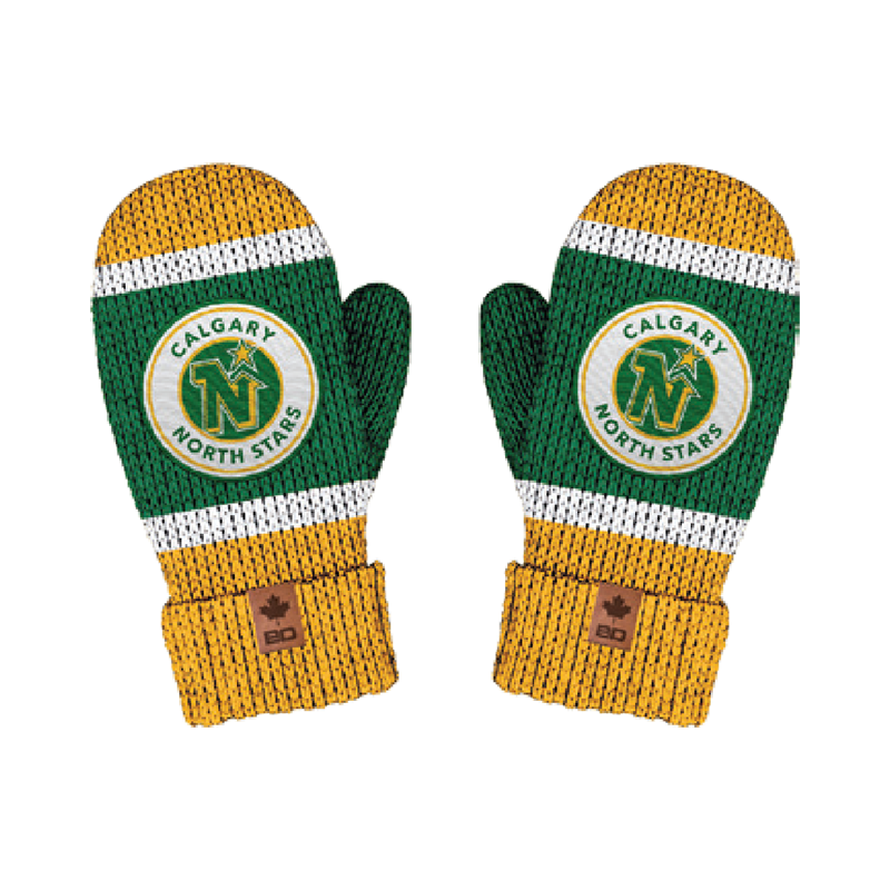 BARDOWN CLASSIC 3.0 MITTENS - NORTHSTARS