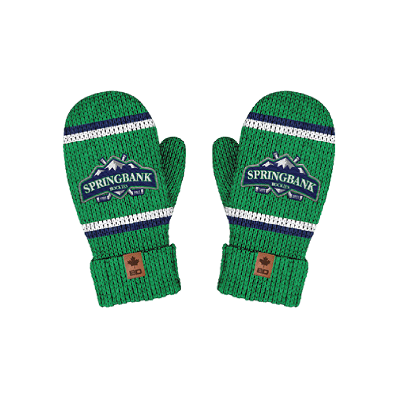 BARDOWN CLASSIC 4.0 MITTENS - SPRINGBANK