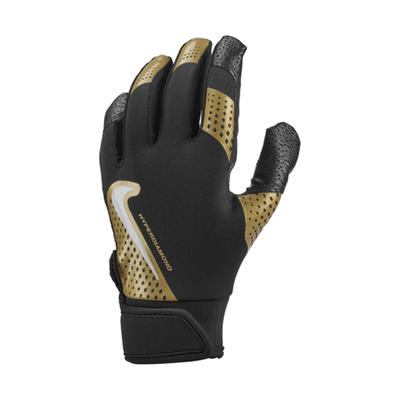 Nike Hyperdiamond 2.0 Batting Glove