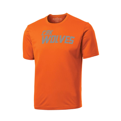 ATC PRO TEAM YOUTH TEE - CBK WOLVES