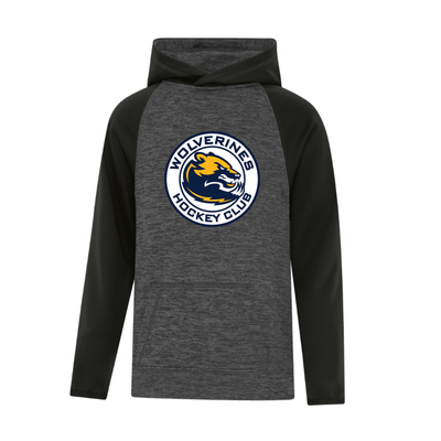 Dynamic Two Tone Youth Hoodie - Wolverines