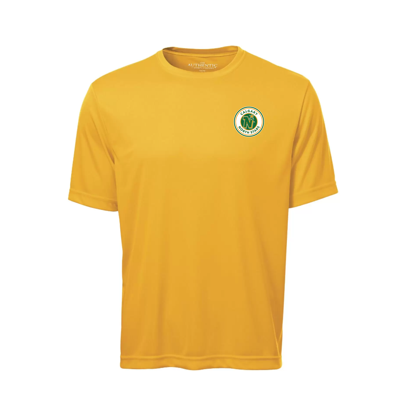 PRO TEAM SHORT SLEEVE YOUTH TEE - NORTHSTARS