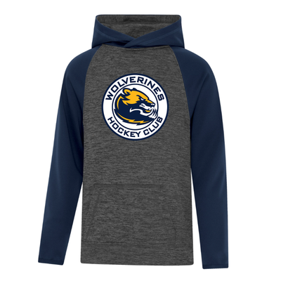 Dynamic Two Tone Youth Hoodie - Wolverines
